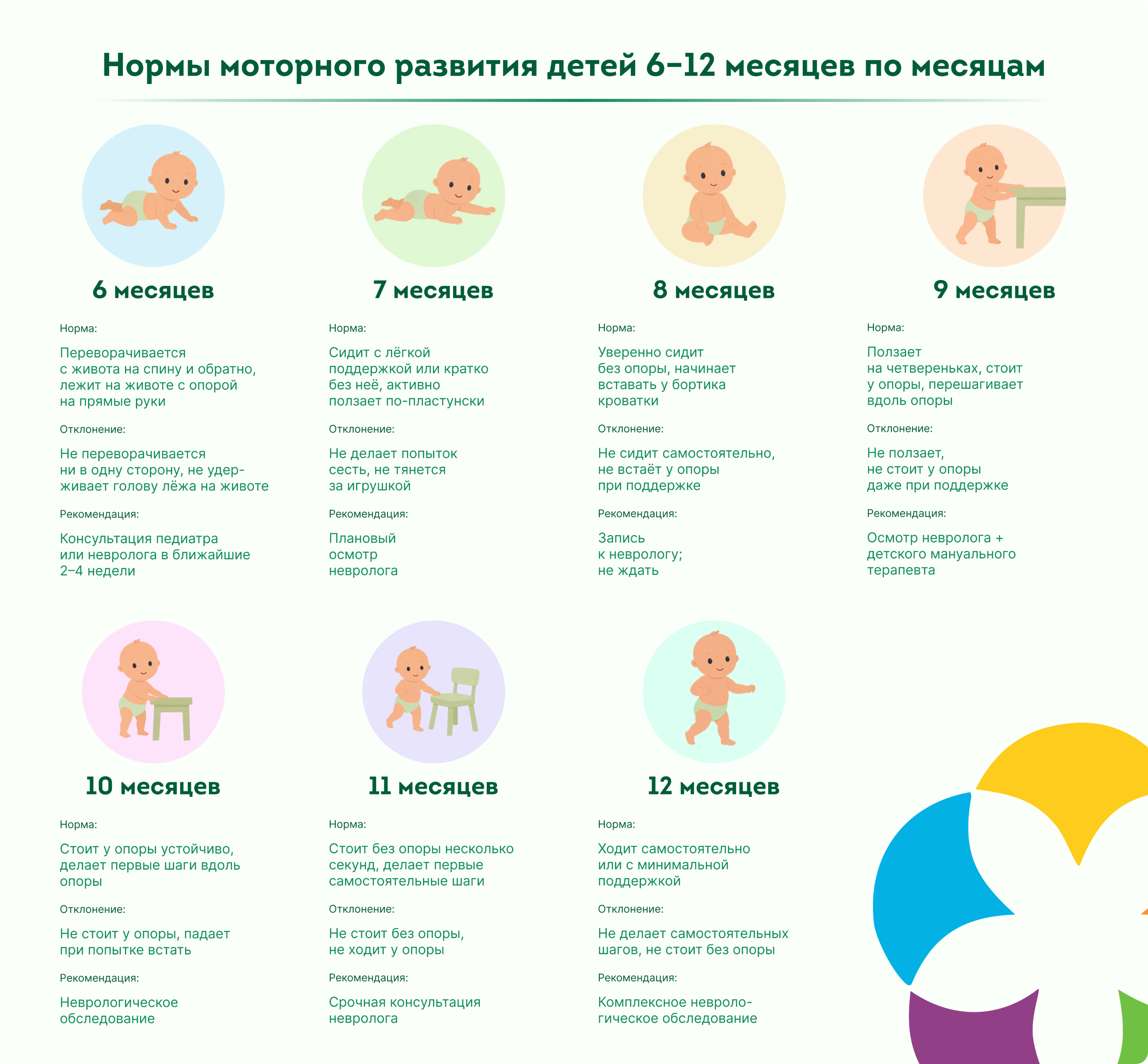 Нормы развития детей 6-12 месяцев